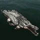 Angry Skyrim fish