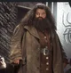 Hagrid 