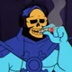 AOK Skeletor