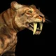 Sabertooth tiger