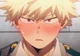 Katsuki Bakugou 