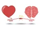 Brain Or Heart