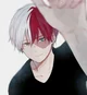 Shoto todoroki 