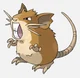 Raticate