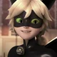 Chat noir