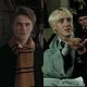 Cedric and draco