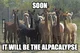 alpaca_army_000