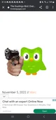 Duolingo