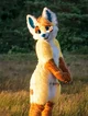 Fox fursuit