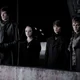 Volturi Elite