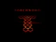 Torchwood 
