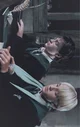 Harry y Draco