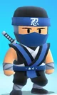 Ninja kai