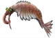 Anomalocaris