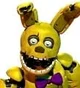 Wd spring bonnie