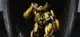 Bumblebee-ROTB