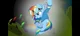 Rainbow dash warrior