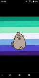 Gay Pusheen