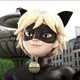 Chat Noir