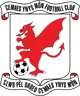 Ynys mon FC 
