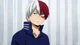 Shoto Todoroki