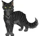Darkstripe