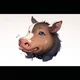 Boar life
