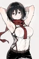 Mikasa 