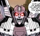 Skywarp - IDW