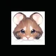 Hamster life