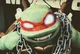 Raphael 