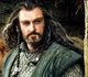 Thorin Oakenshield 