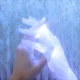 Geist