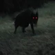 Scary Wolf