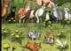 Skyclan