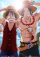 Ace y luffy 