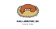 HAL Laboratory Inc
