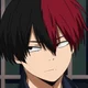 Shoto todoroki 