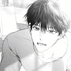 -Aster-