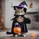 A cats Halloween 