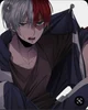 TODOROKI SHOTO