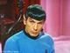 Spock - Distracted