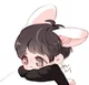 Baby bunny boy