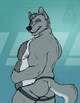 Furry Dad Wolf