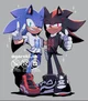 Sonic and Shadow