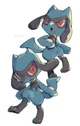 Riolu