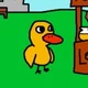 Duck -