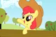 Apple Bloom 