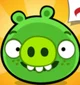 Bad pigge