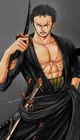Evil Zoro